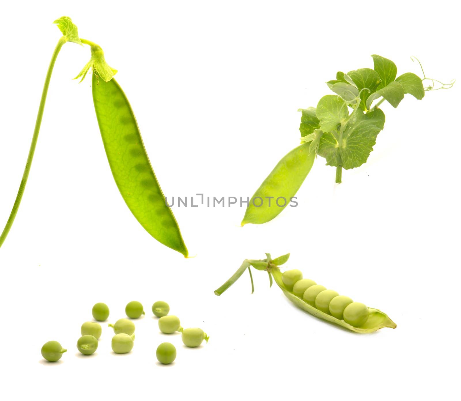 Garden fresh peas, on white                               