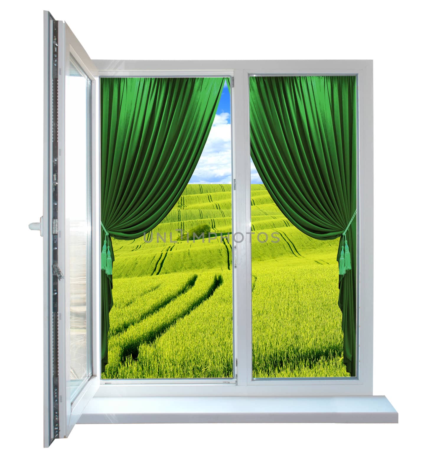  window           