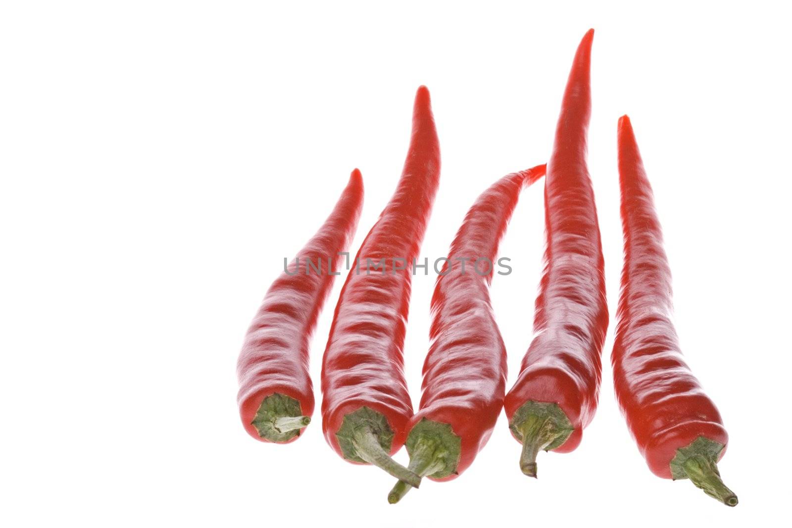 Red Chillies Macro by shariffc