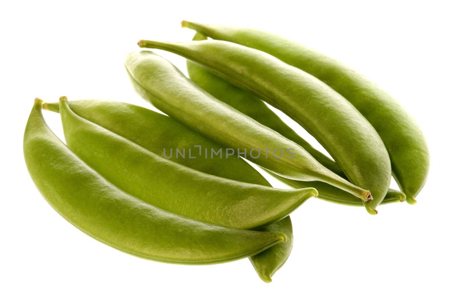 Isolated macro image of snow peas.