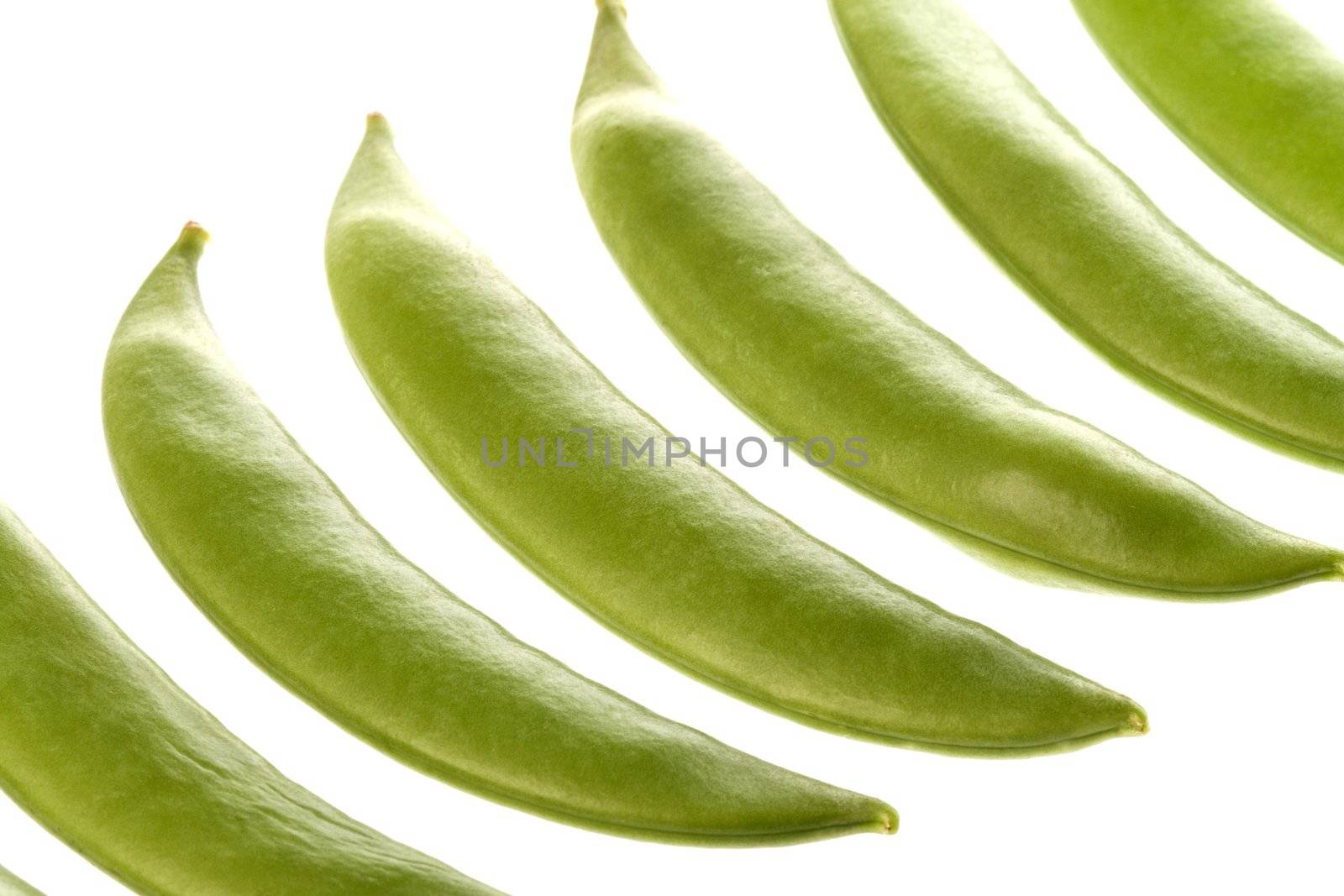Isolated macro image of snow peas.