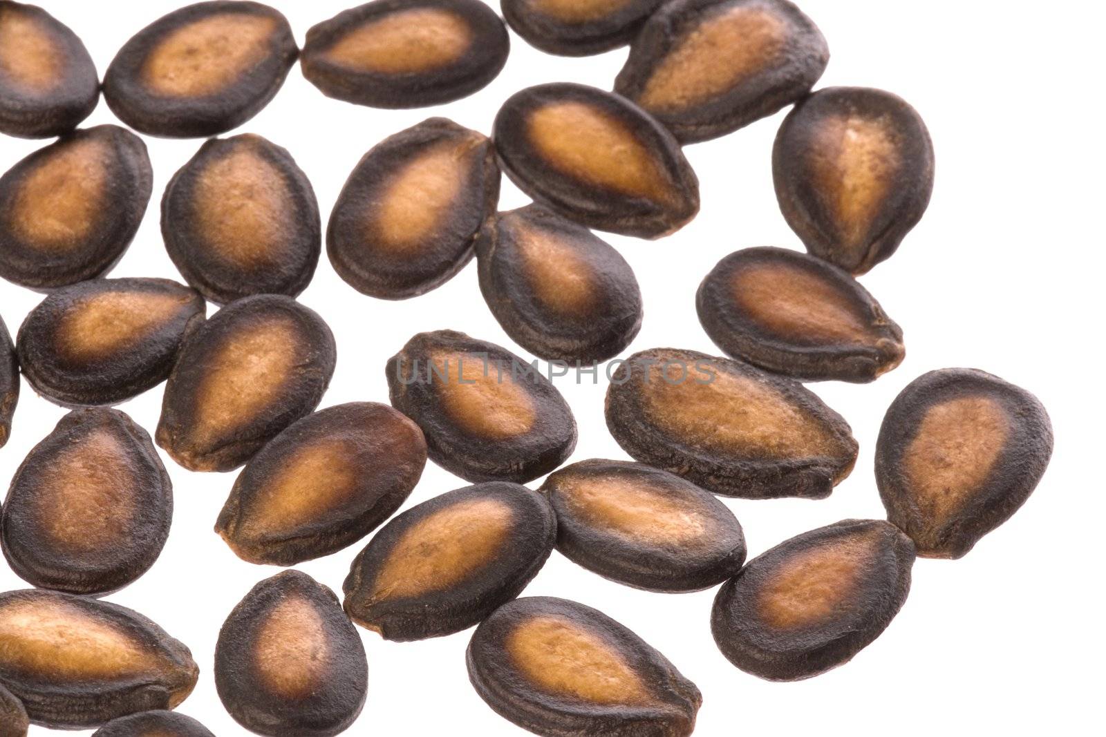 Isolated macro image of pumpkin seeds.