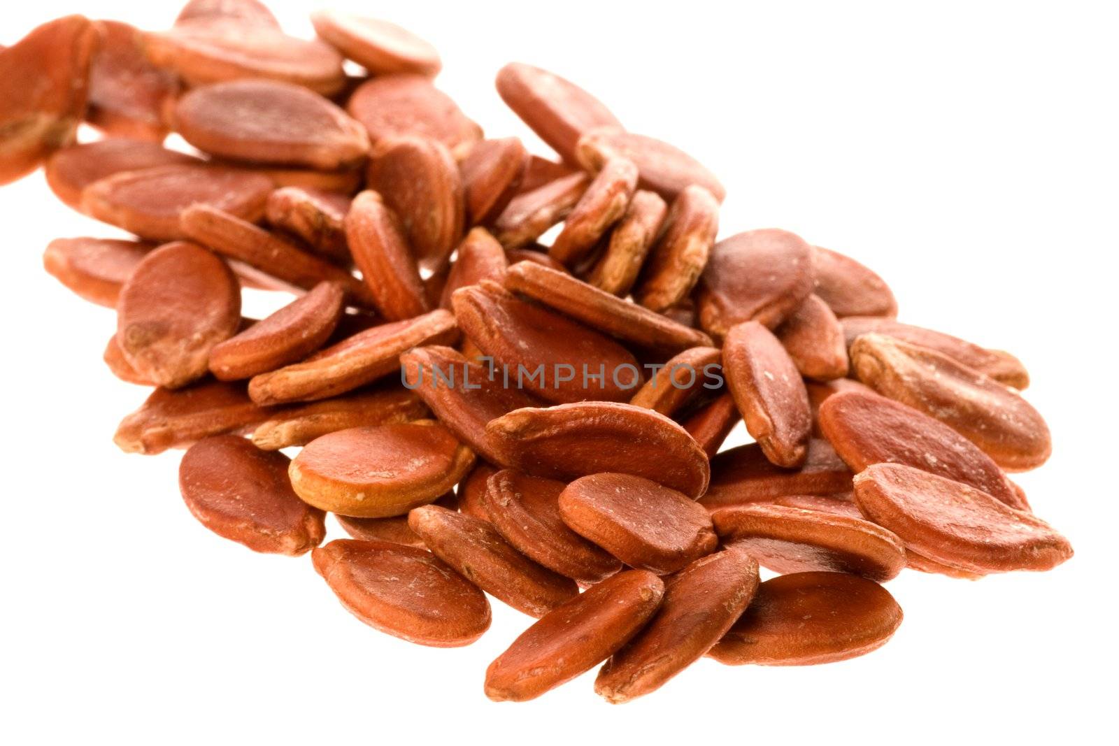 Isolated macro image of melon seeds.