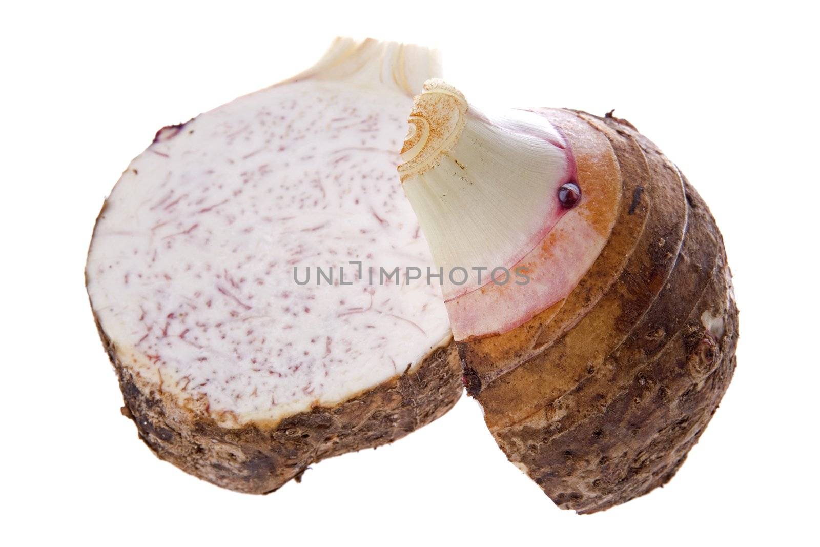 Isolated image of a yam.