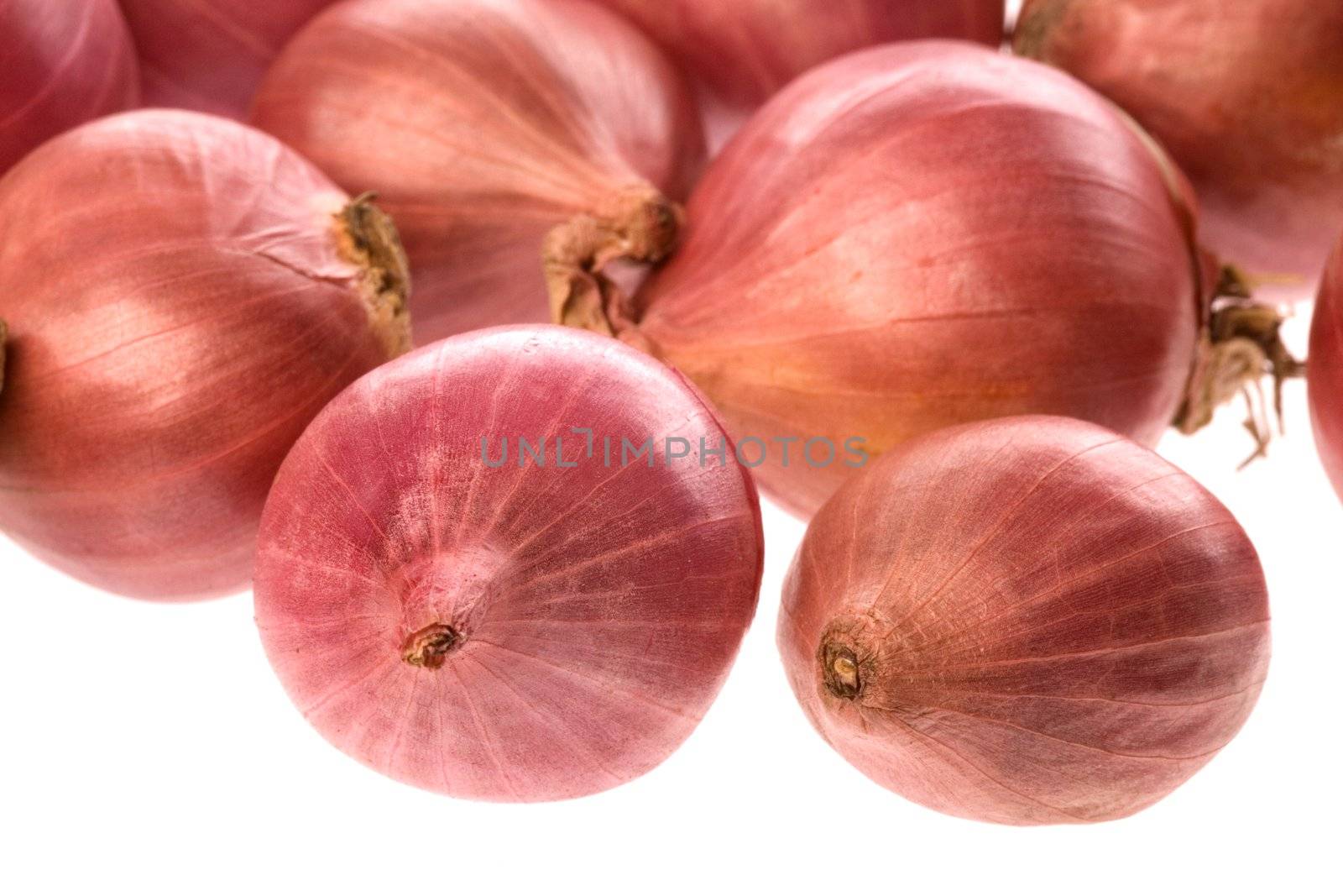 Isolated macro image of small onions.