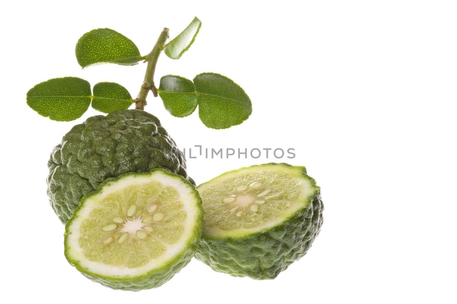 Isolated macro image of a Kaffir Lime.