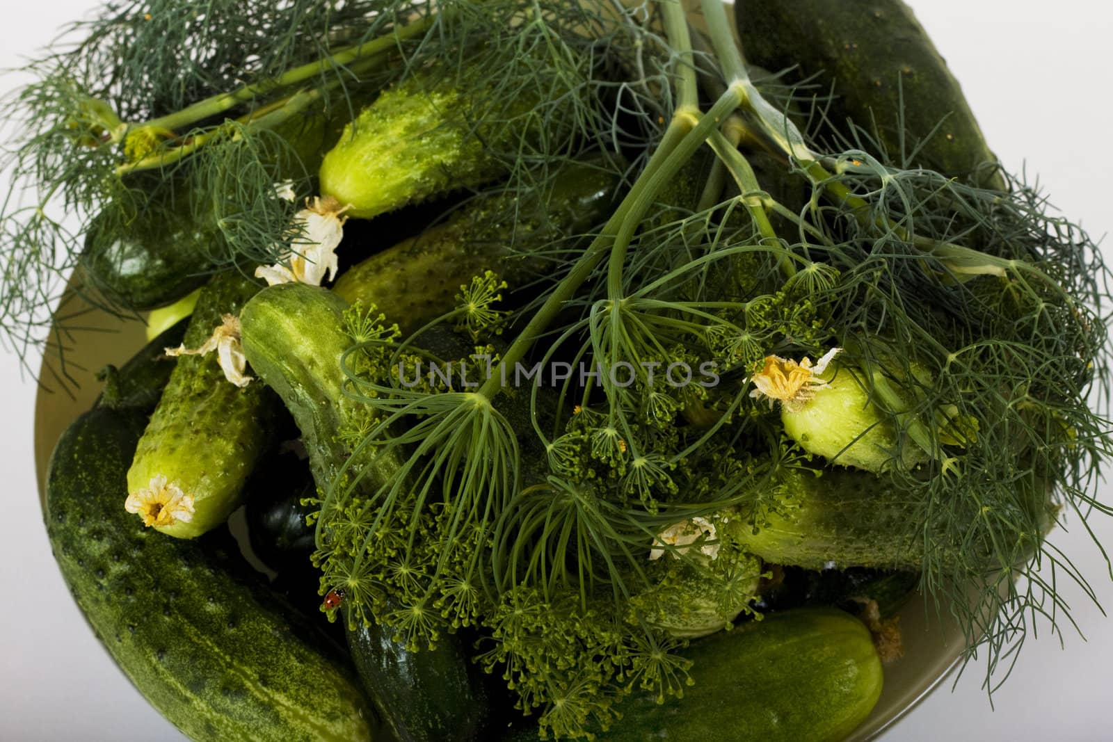 Plate with cucumber and dill