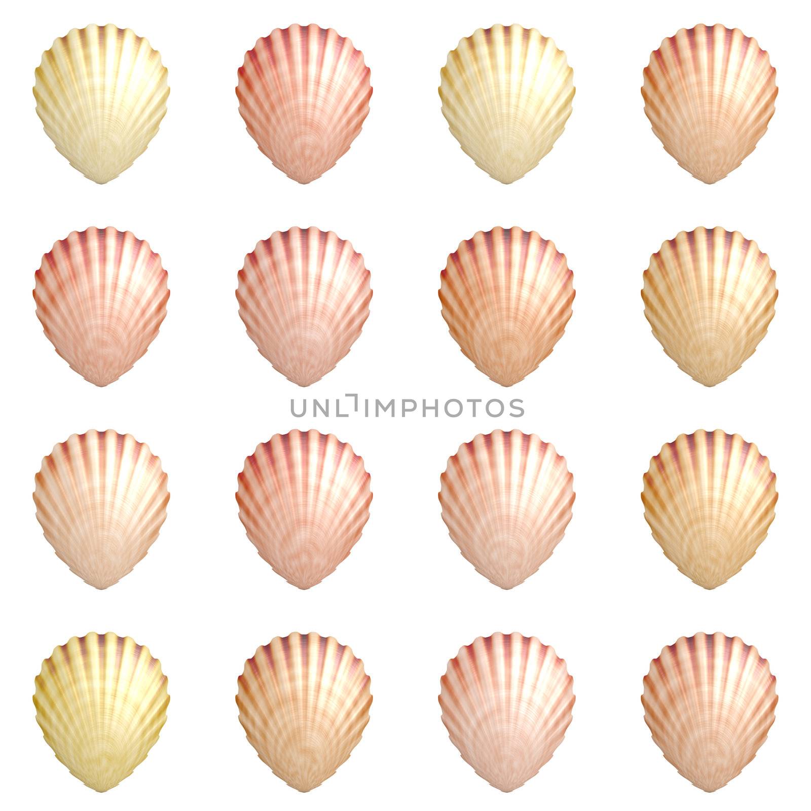 Seashell Background with a Aquatic Theme Art