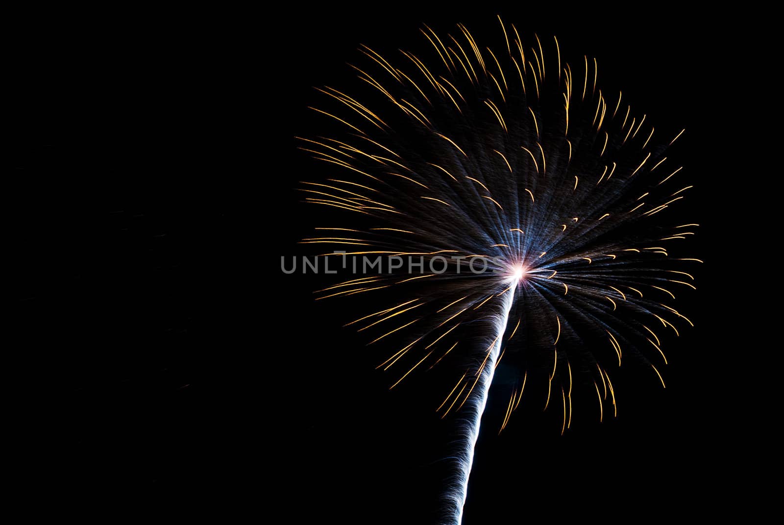 Firework 2 by chimmi