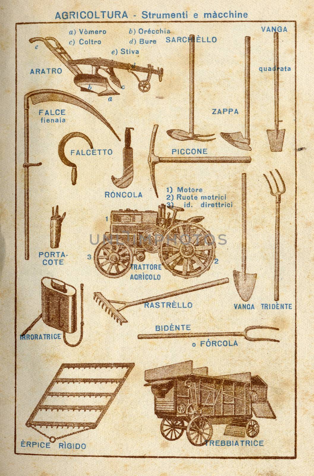 ITALY - CIRCA 1940: Vintage illustration of agricultural tools, circa 1940 in Italy