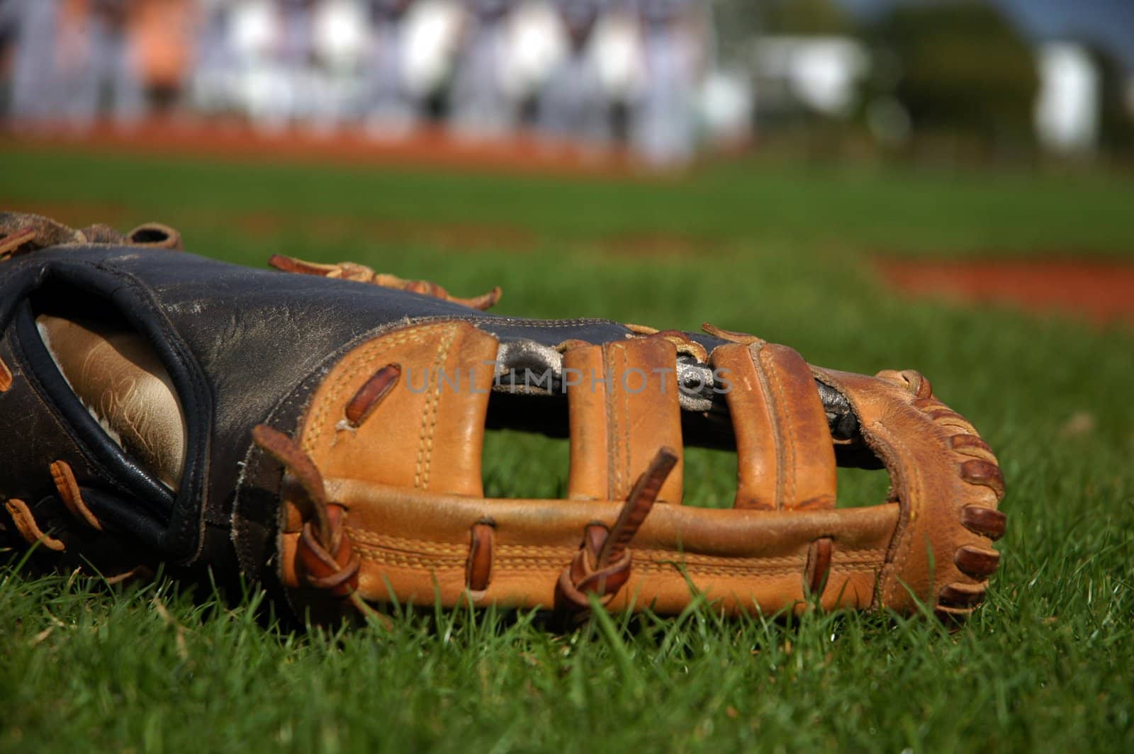 Baseball glove dropped in green grass