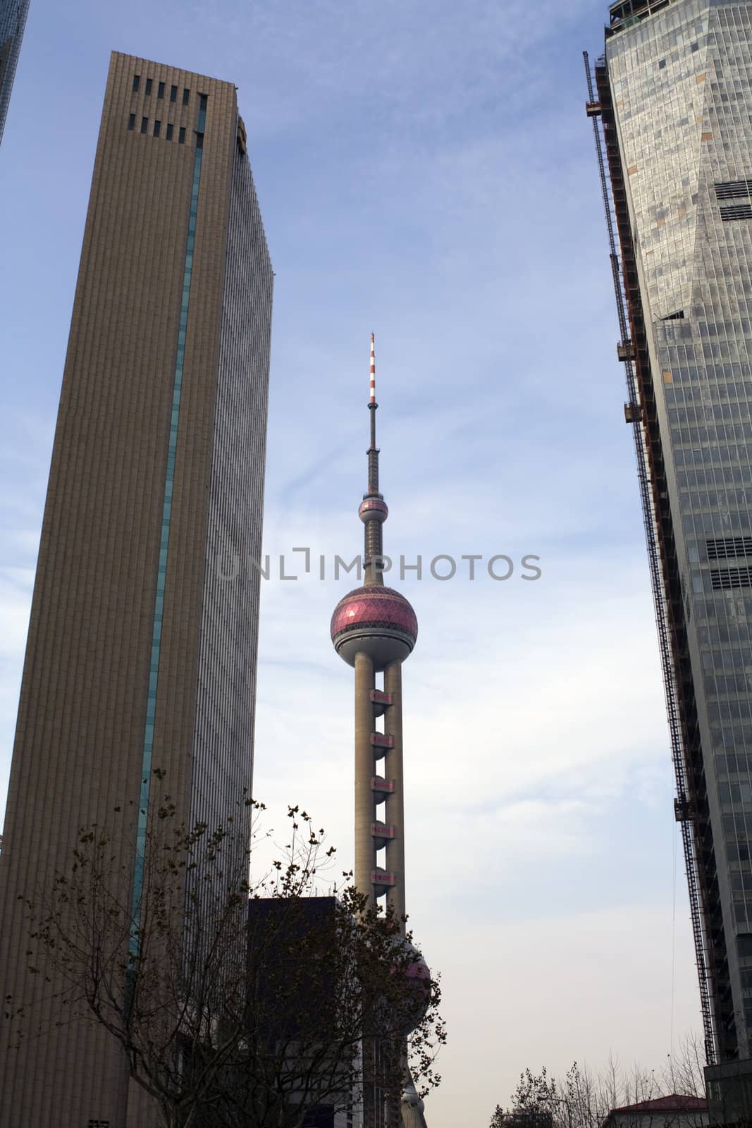 Shanghai architecture of pearl tower between 2 high rise buildings