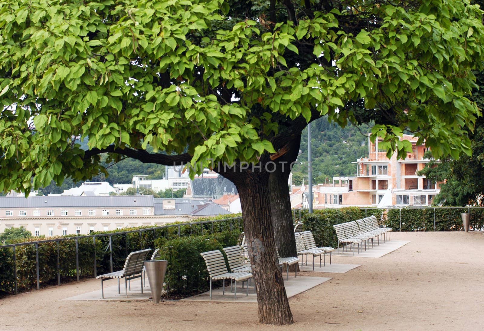 Park on the riverside with white benches