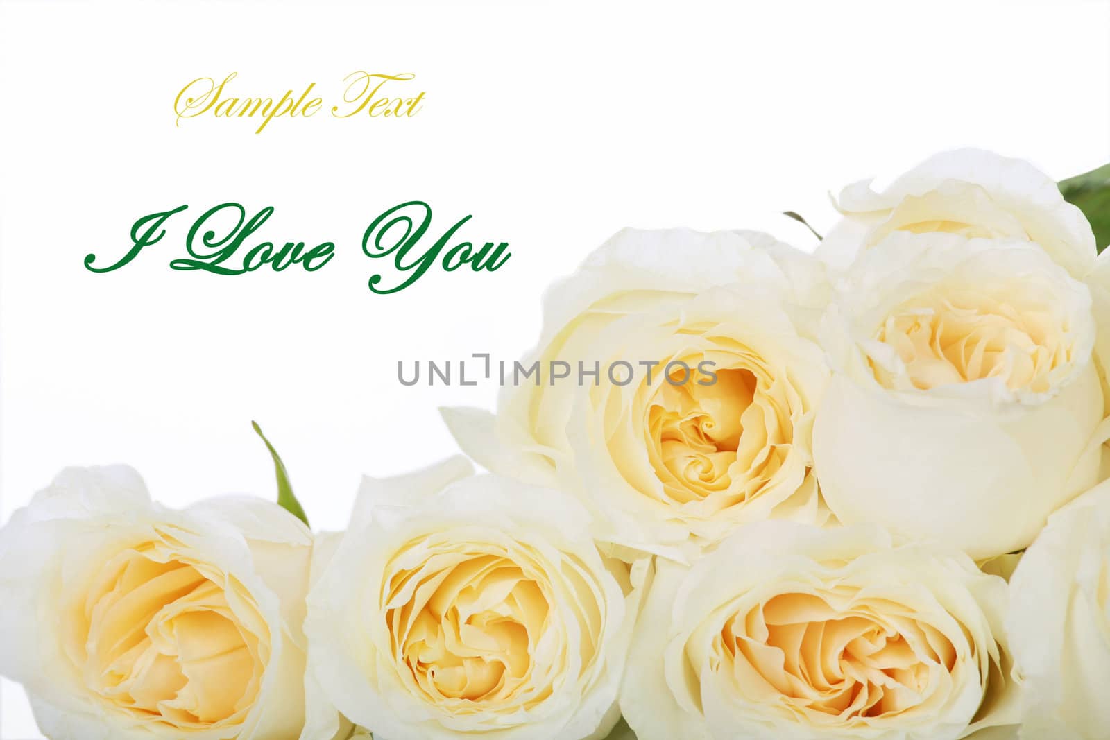 Bunch of White roses with yellow centers, type space available