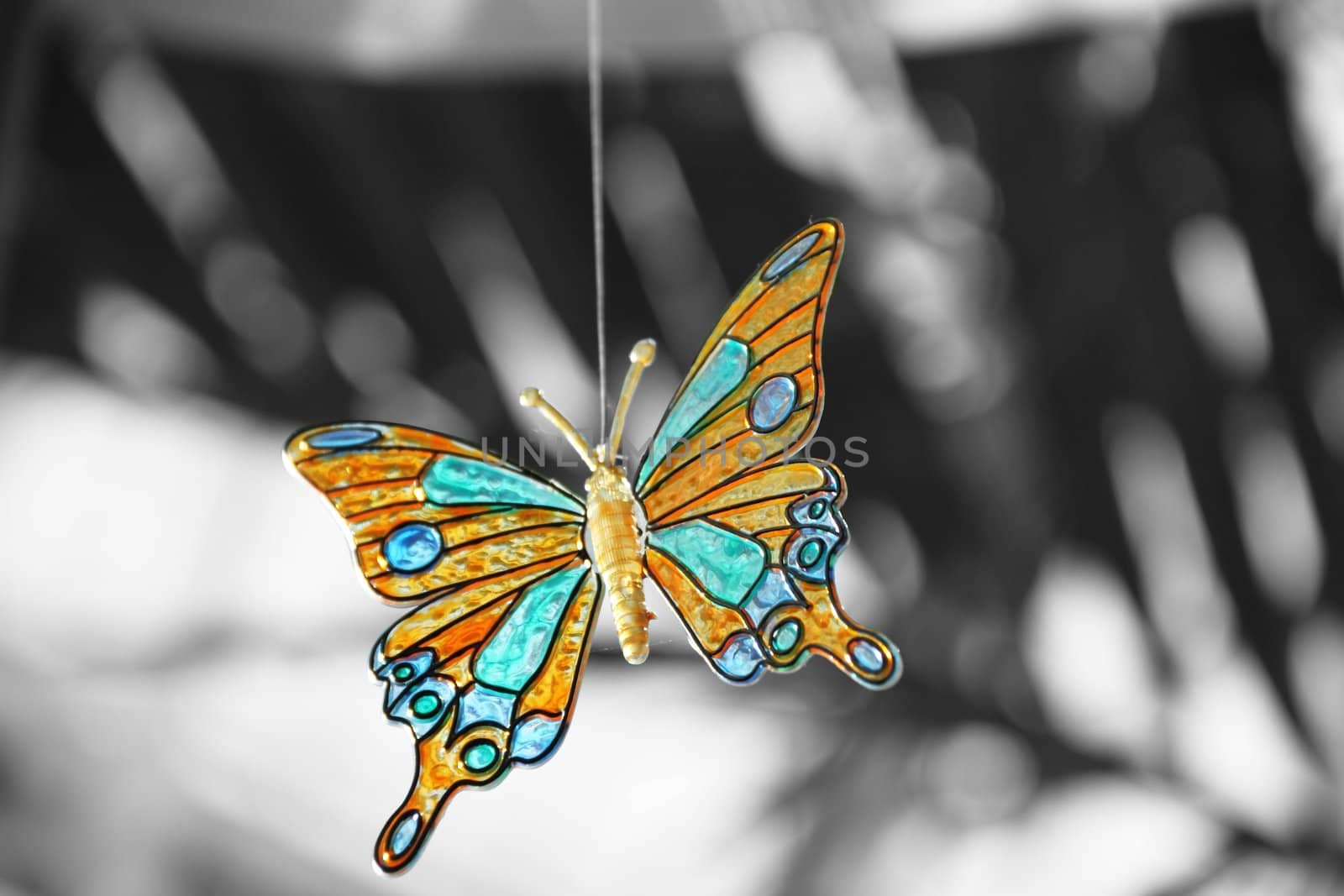 Glass Butterfly by jasony00