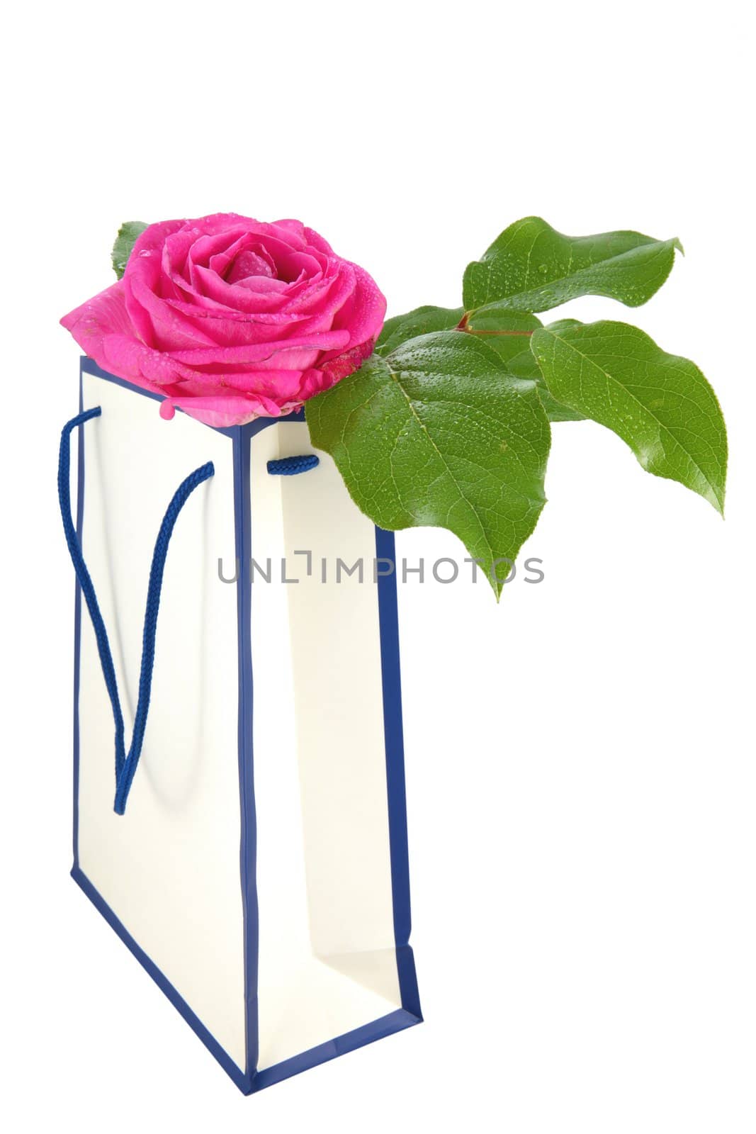 bag for buying with beautiful rose in dewdrop