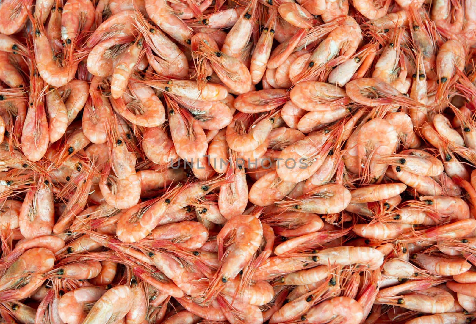 Bunch of shrimps ready to eat
