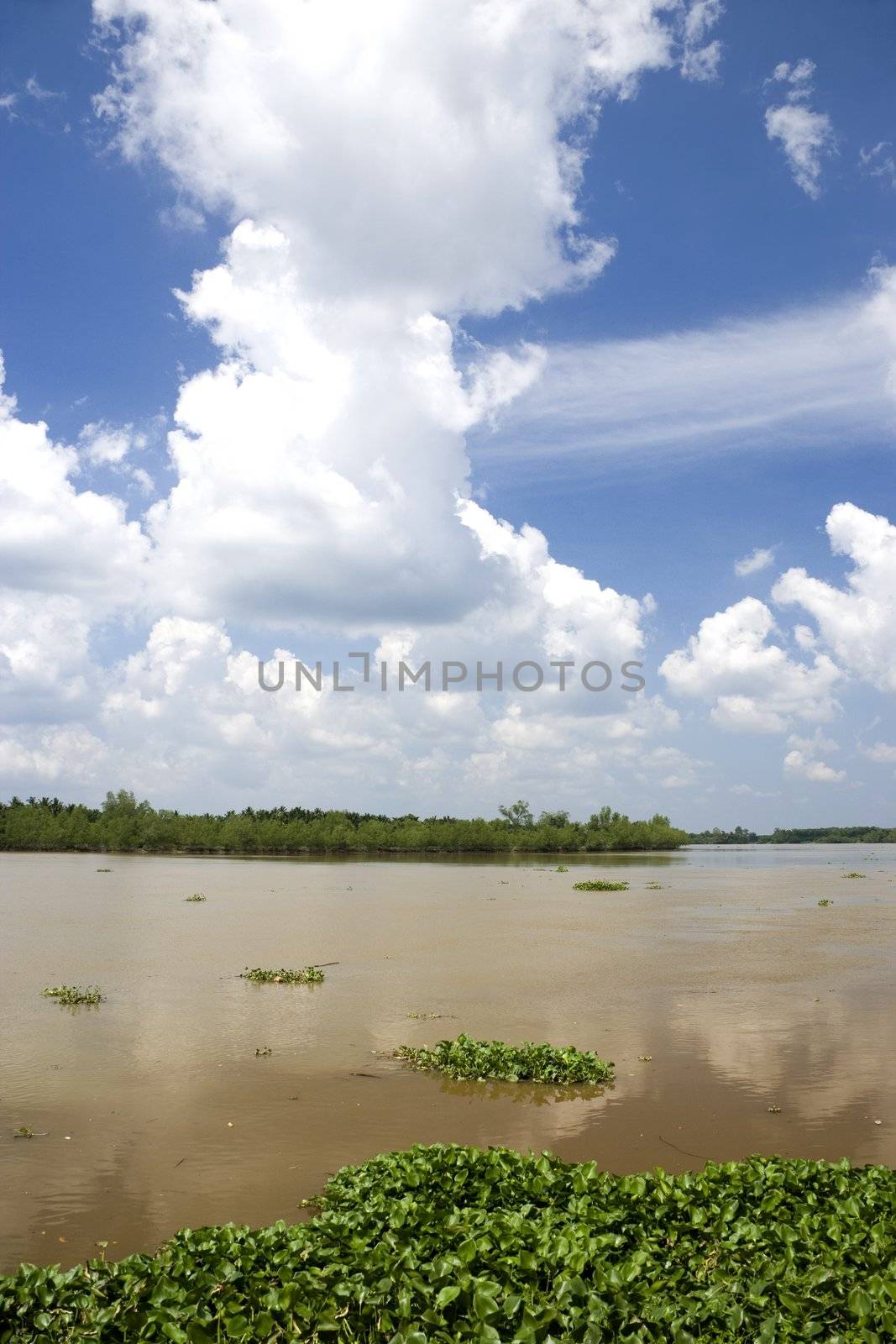 Image of a muddy river in Malaysia.