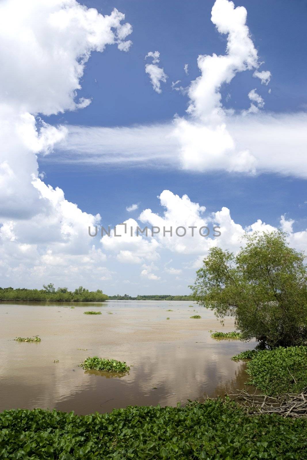 Image of a muddy river in Malaysia.