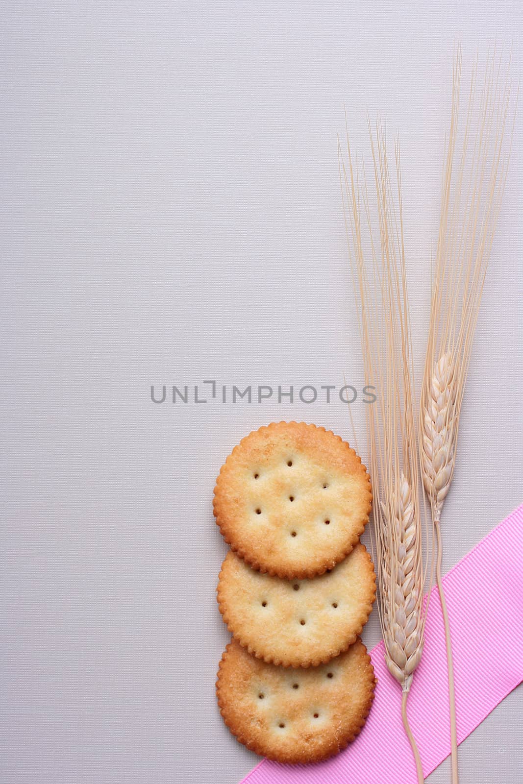 Fresh cookies strewed by salt on a grey background with a dry cone.