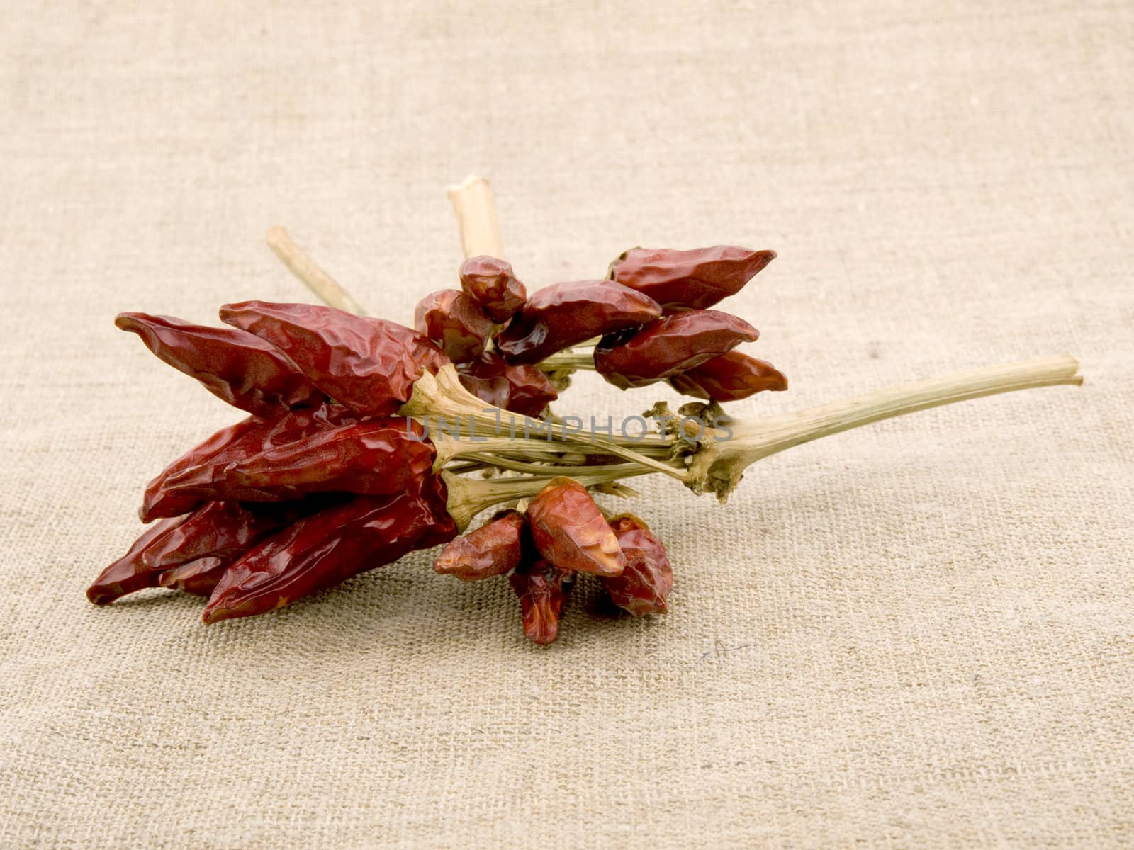 Dried red capsicum pepper on linen background - hungarian seasoning