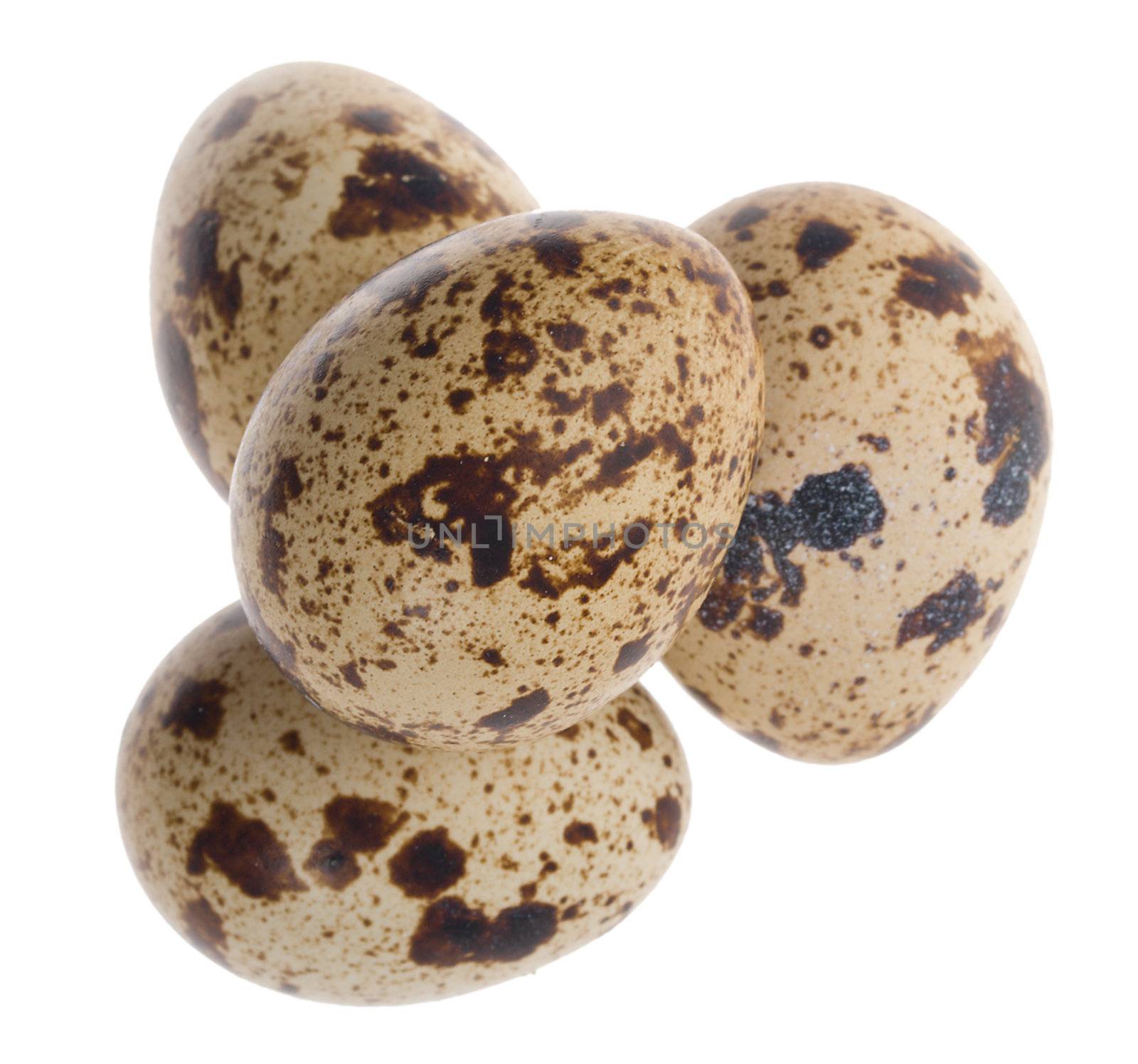 four quail eggs in pyramid by Alekcey