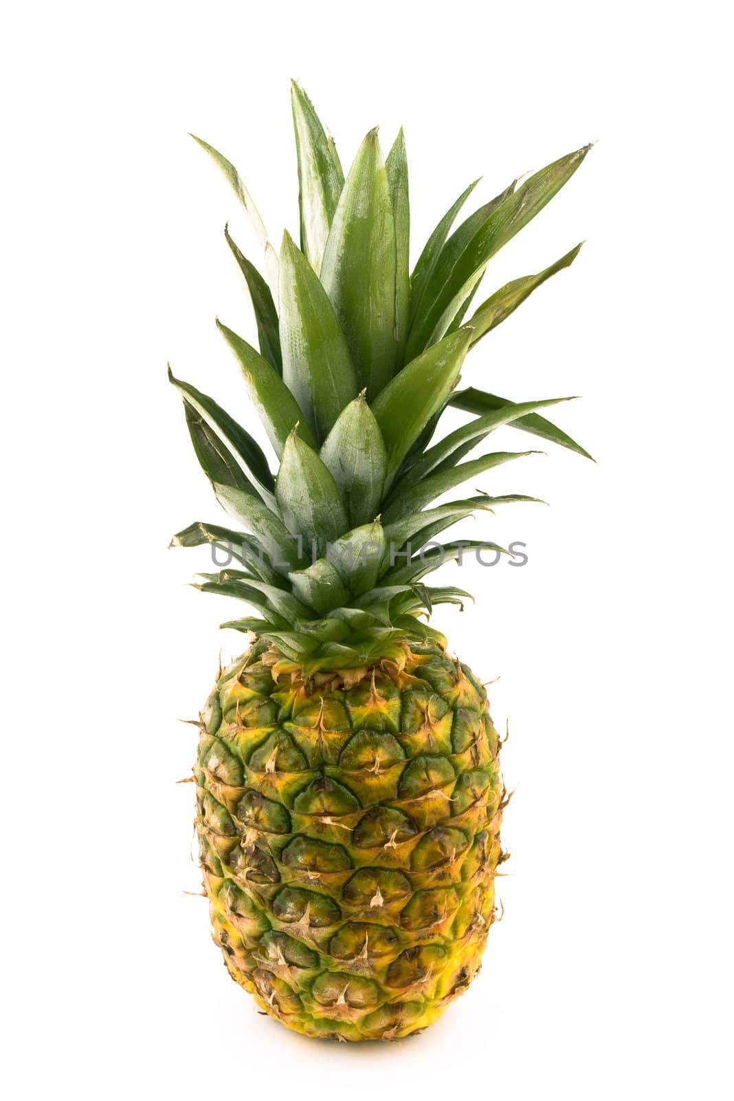 Tasty fresh pineapple on white background