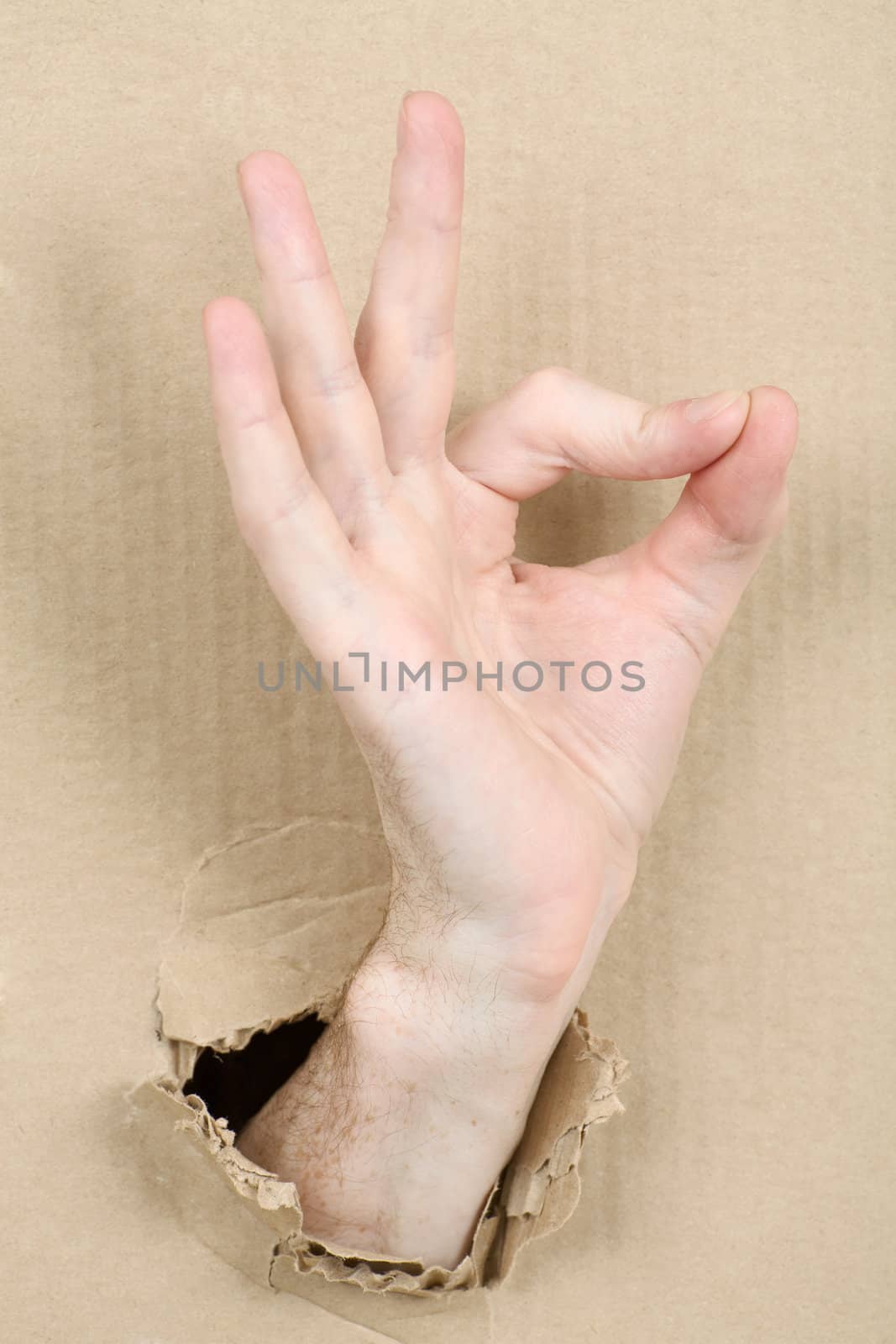 Gesture male hand through from hole in cardboard