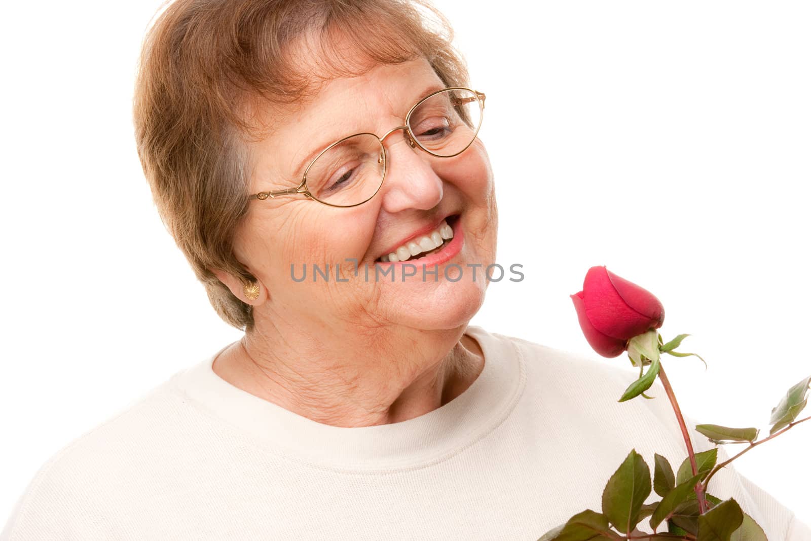 Attractive Senior Woman with Red Rose Isolated on a White Background.