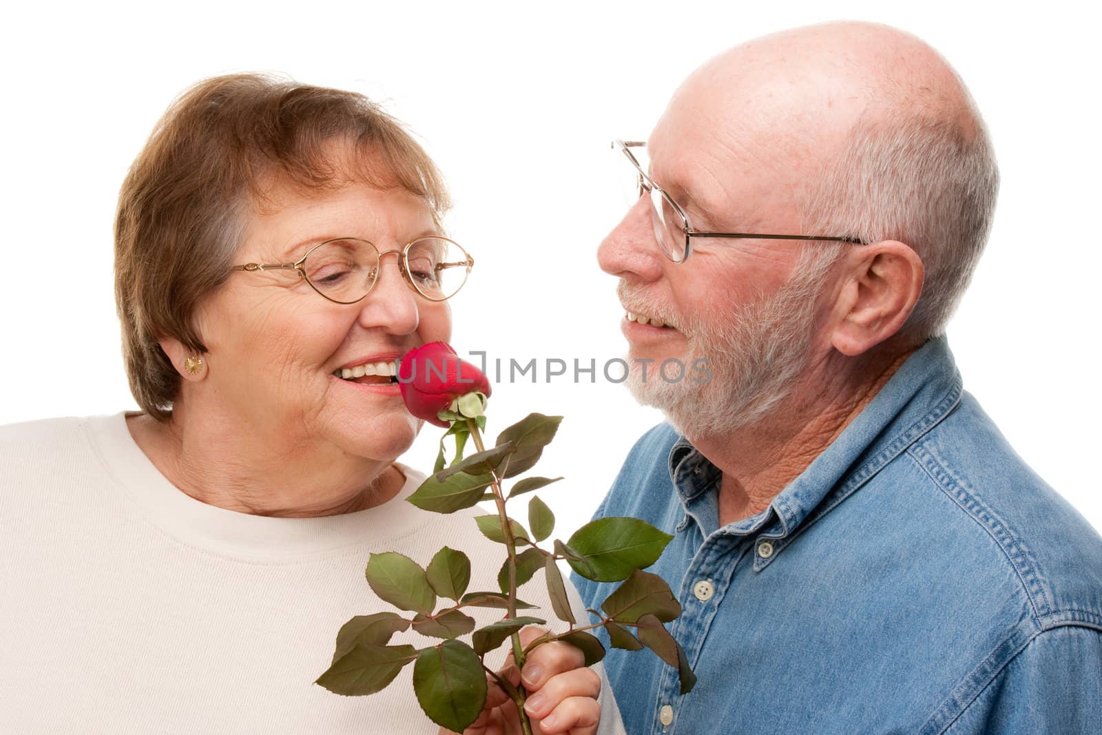 Happy Senior Couple with Red Rose by Feverpitched