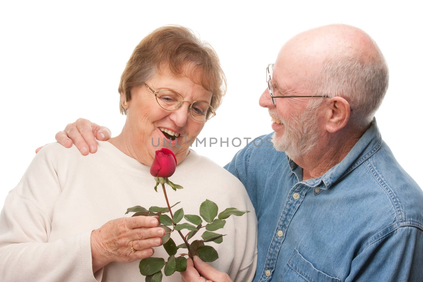 Happy Senior Couple with Red Rose Isolated on a White Background.