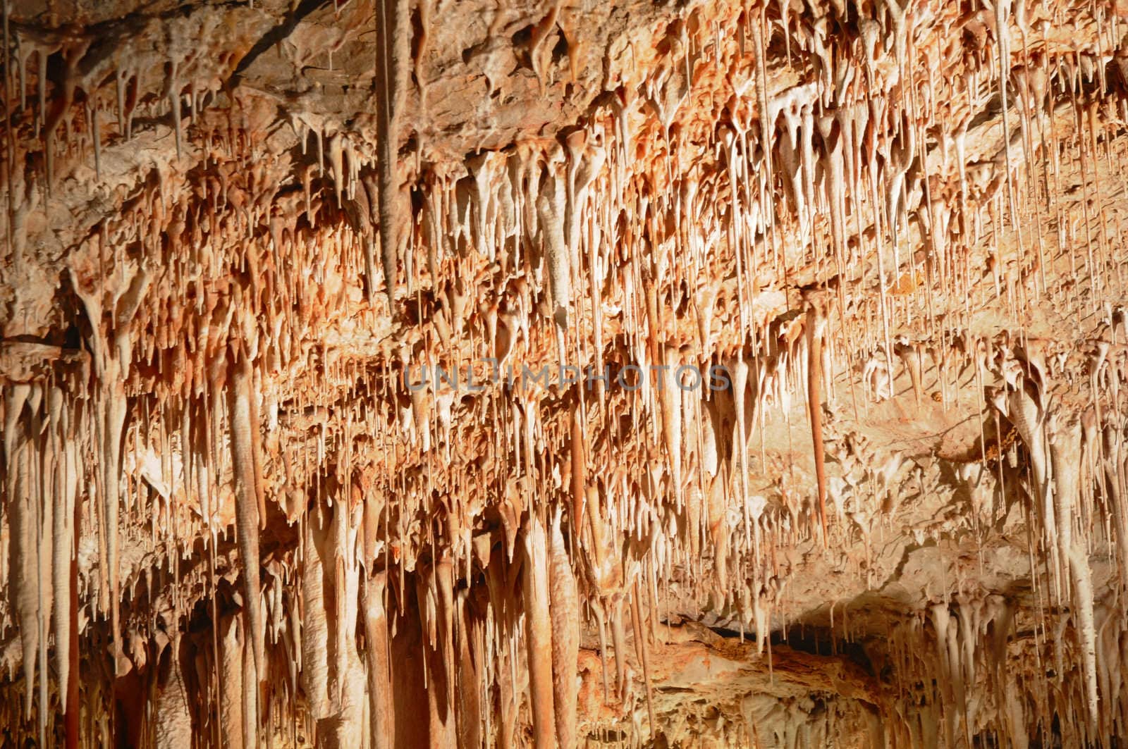 Image of the inside of a cave , details with stalactites .Israel .