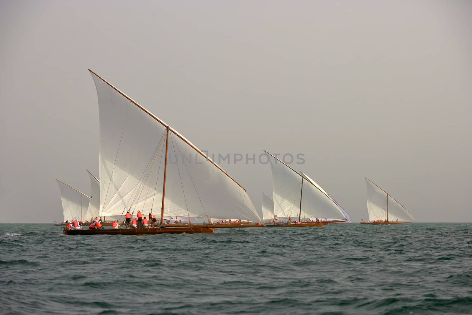 Racing traditional dhows in the Arabian Gulf, off Dubai.