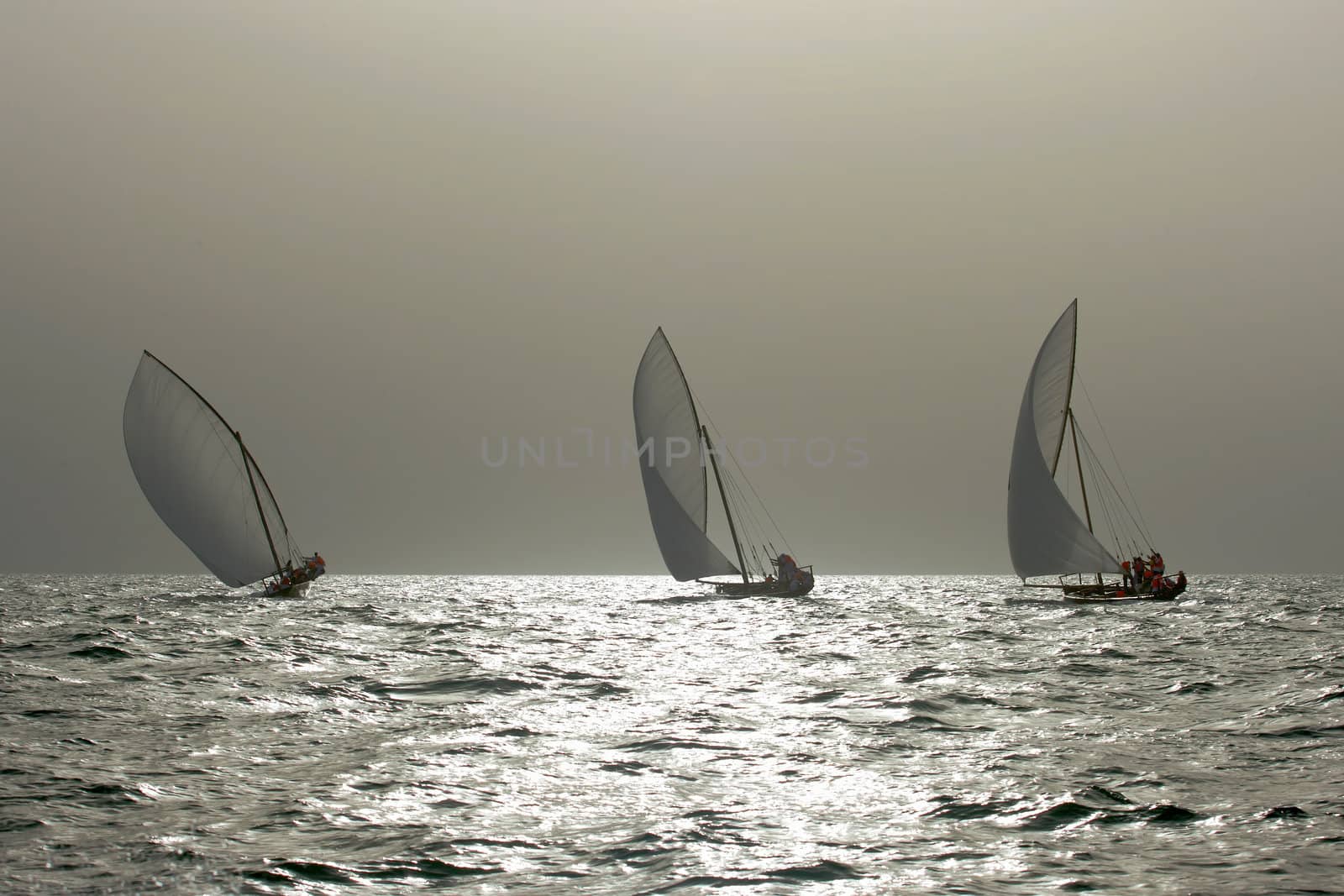 Traditional dhows sailing in the Arabian Gulf near Dubai.
