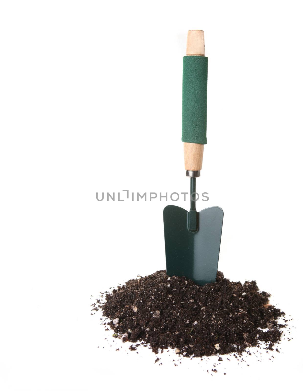 Garden Trowel Tool Standing Upright in Potting Soil 