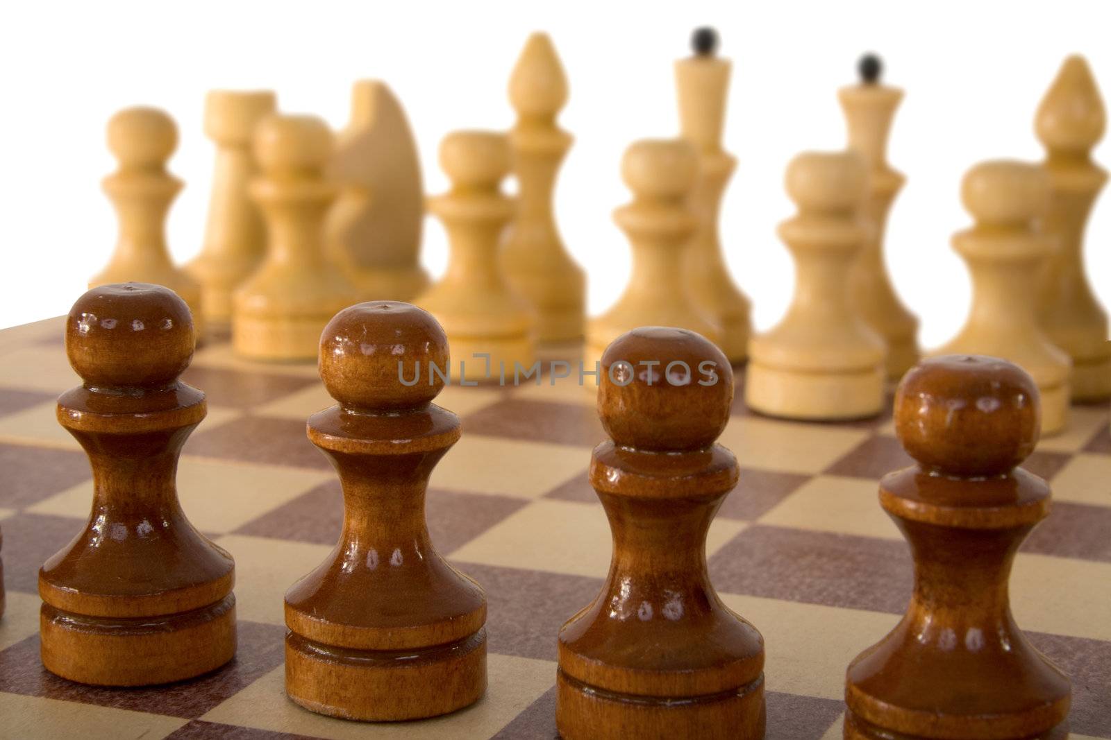 Chess on board on a white background