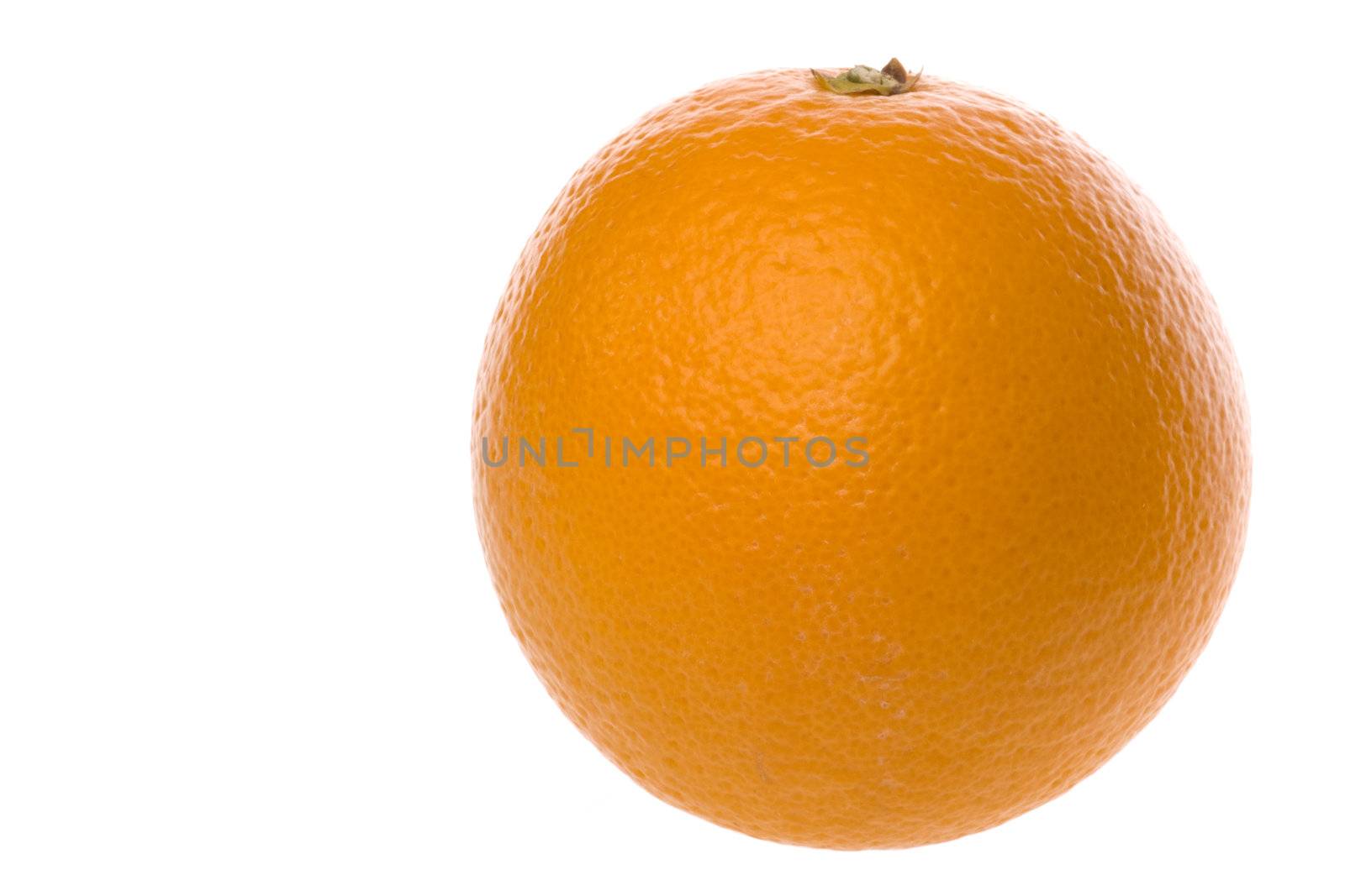 Orange Macro Isolated by shariffc