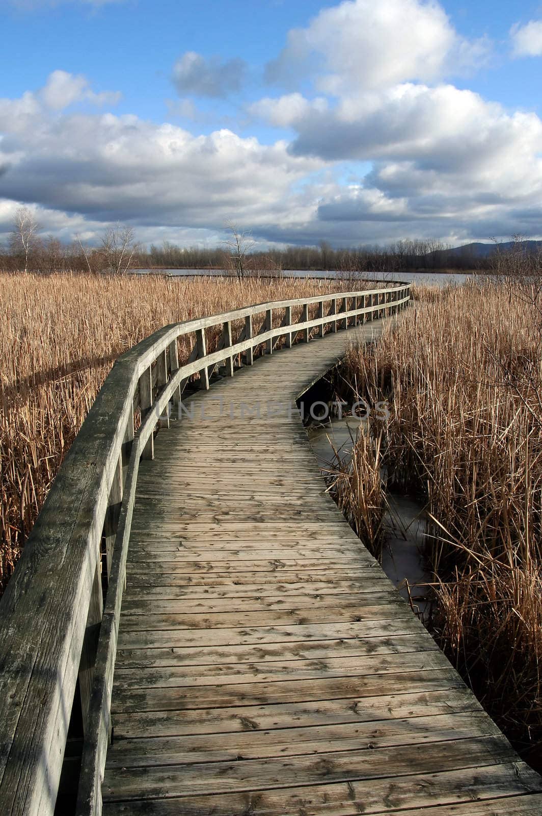 Deserted wooden path by Hbak