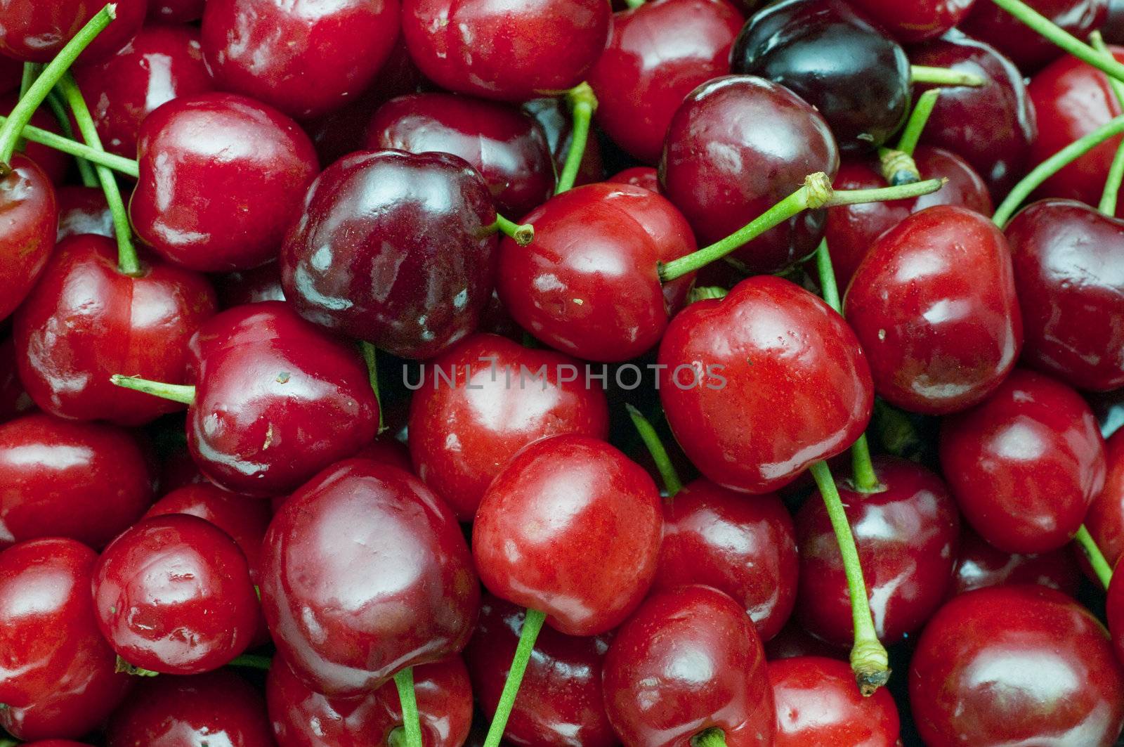 Group of light and dark red cherries