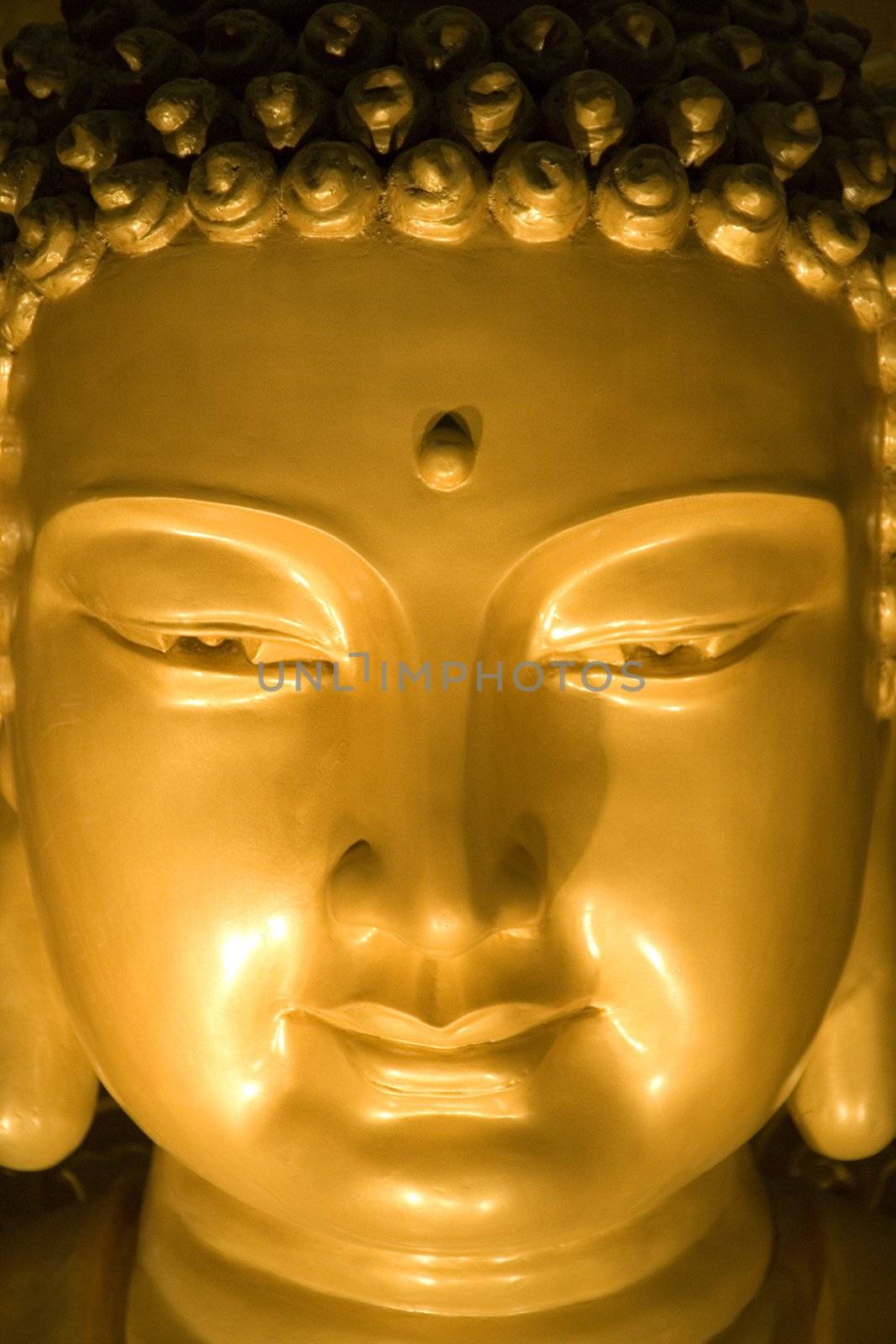 Night image of a Buddha statue.
