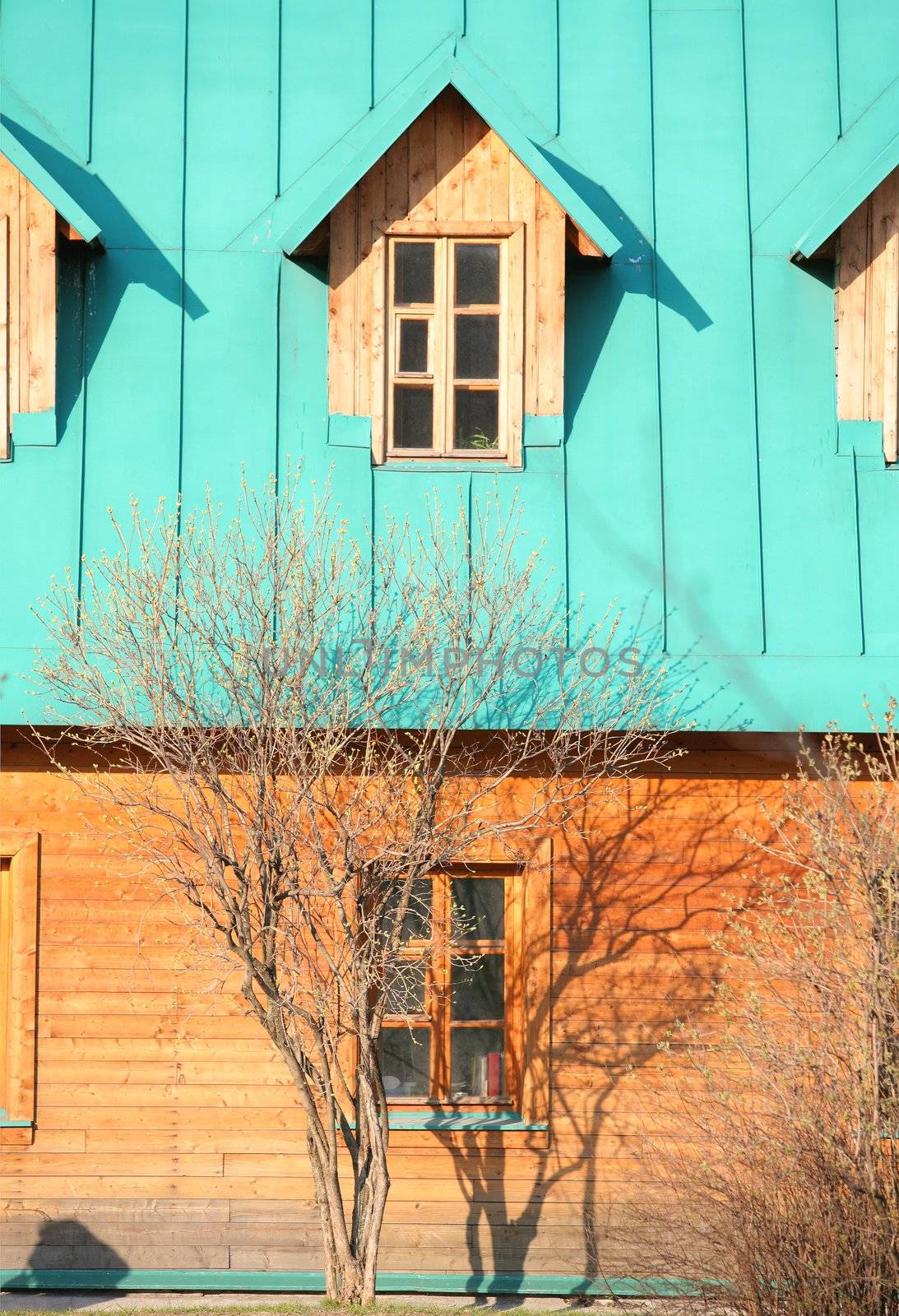 Tree and His Shade, Falling on Wall of Wooden Building with Green Mansard