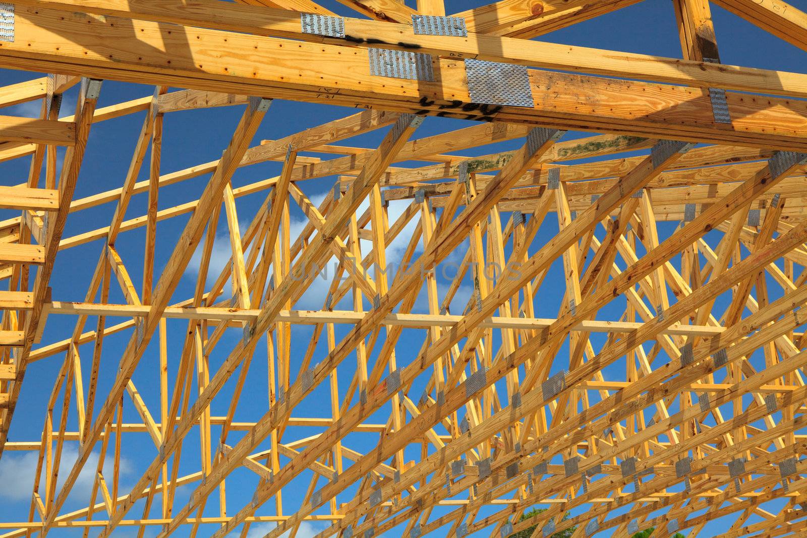 Wood Trusses