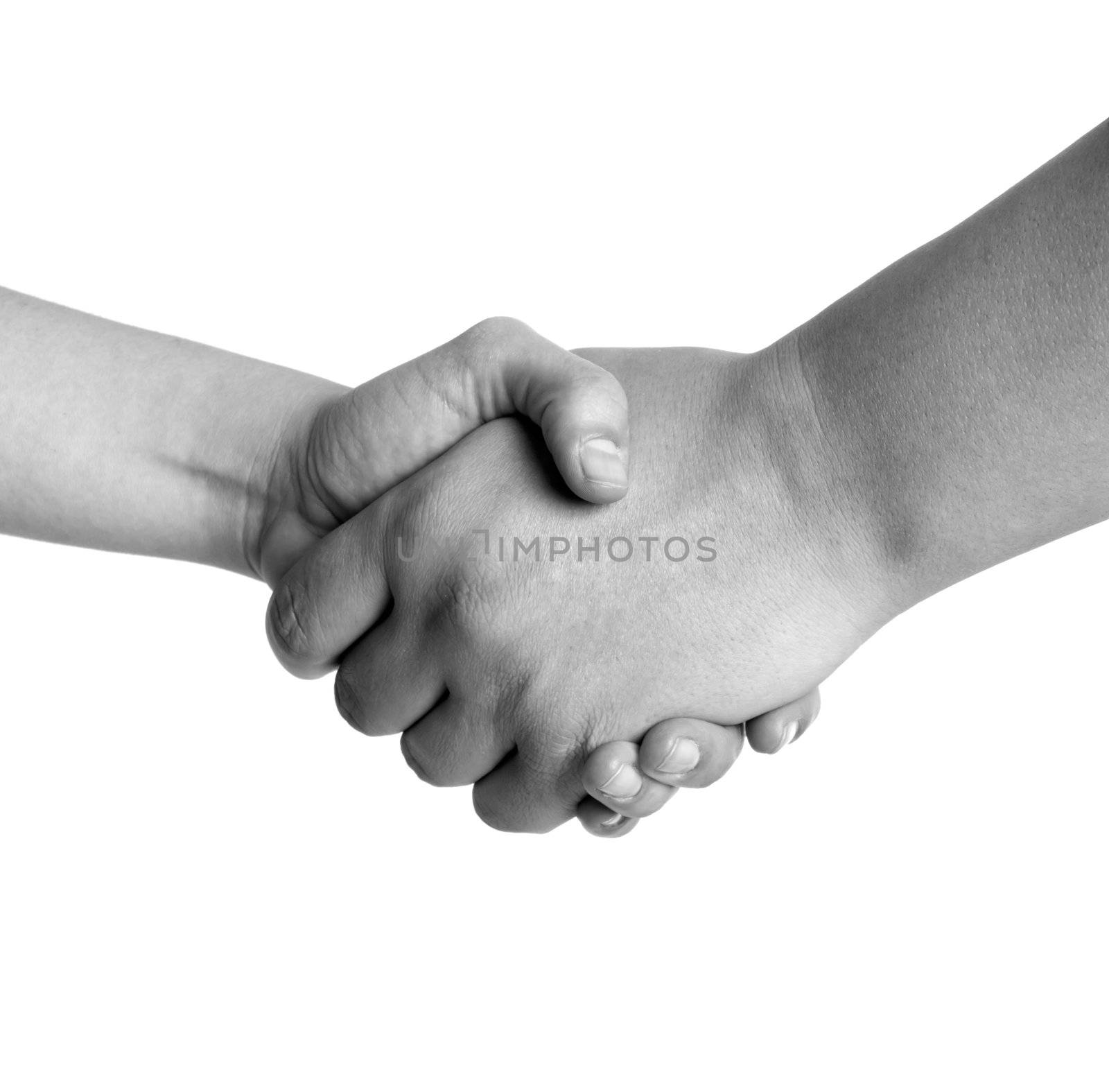 Man and woman handshake black and white isolated on white background by dgmata