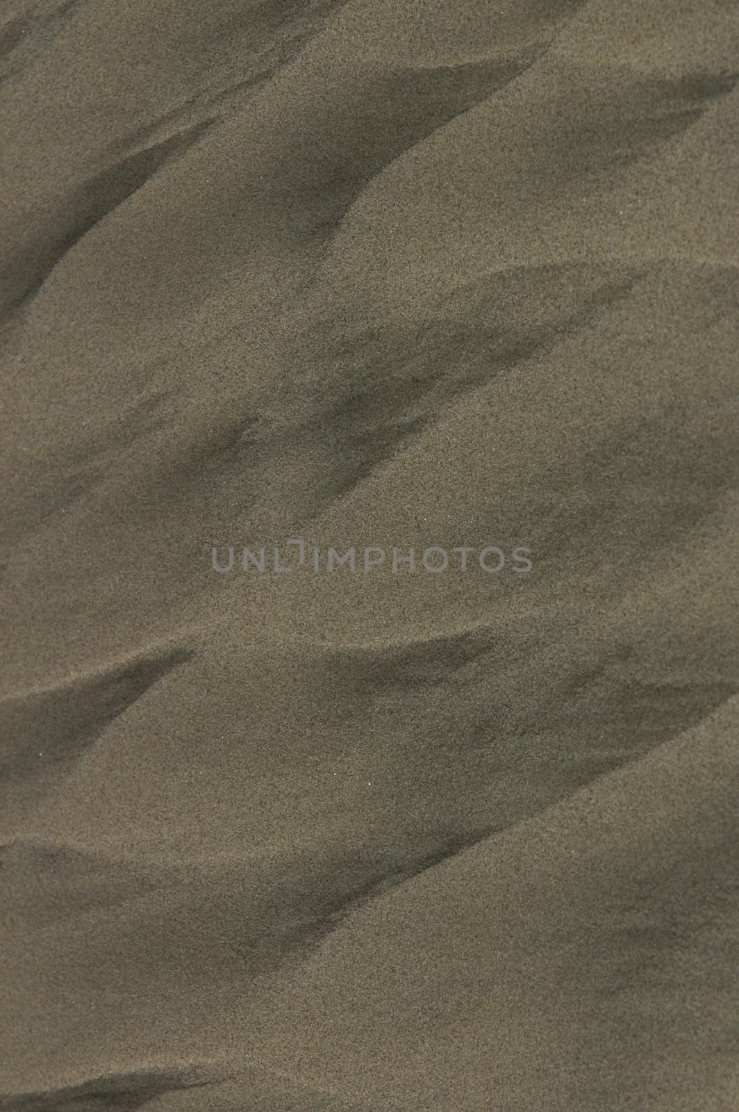 Detail of ripple structure in the beach sand