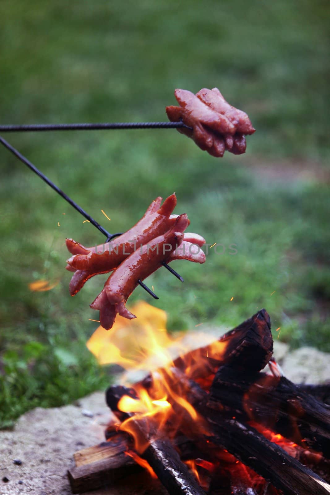 Roasting sausages on campfire in the garden