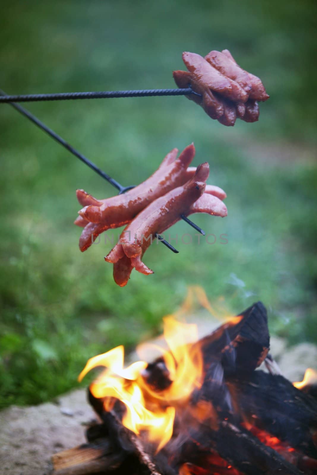 Roasting sausages on campfire in the garden