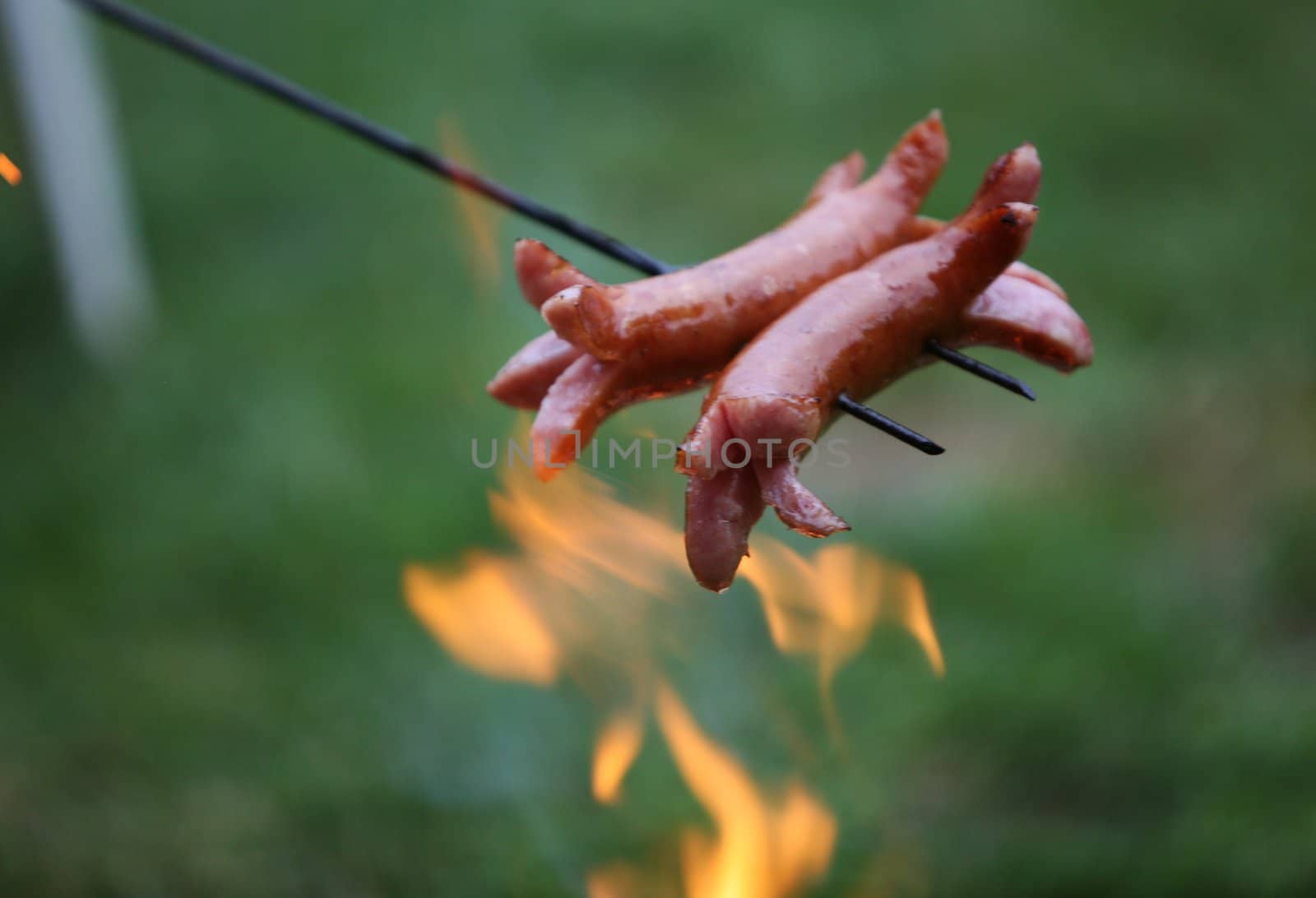 Roasting sausages on campfire in the garden