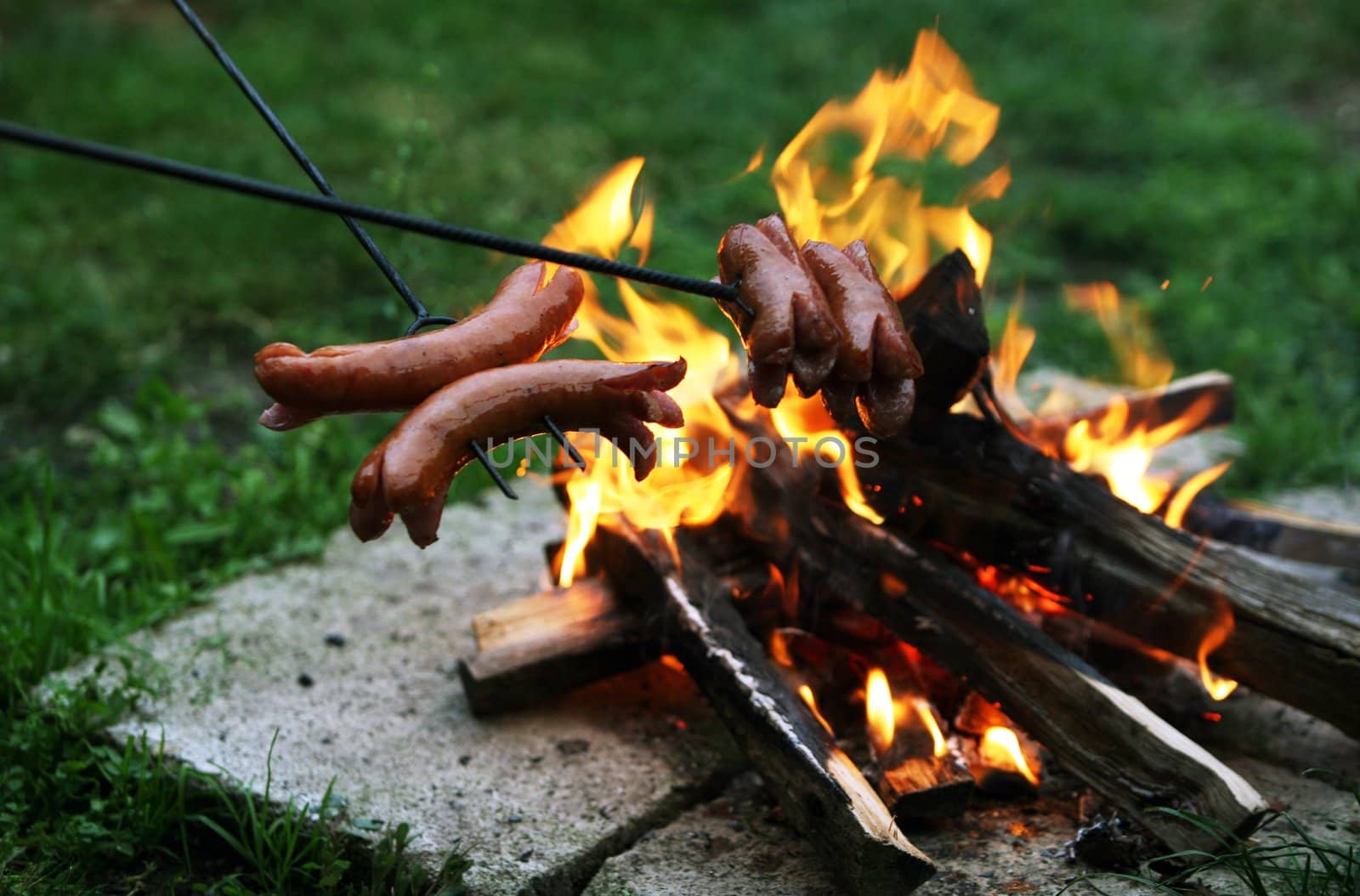 Roasting sausages on campfire in the garden