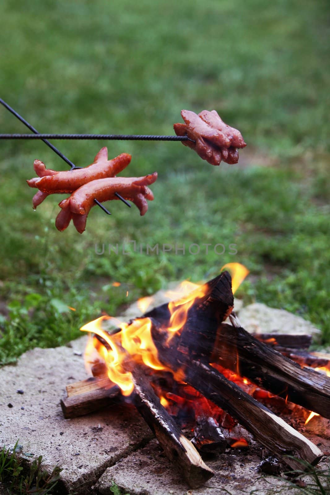 Roasting sausages on campfire in the garden