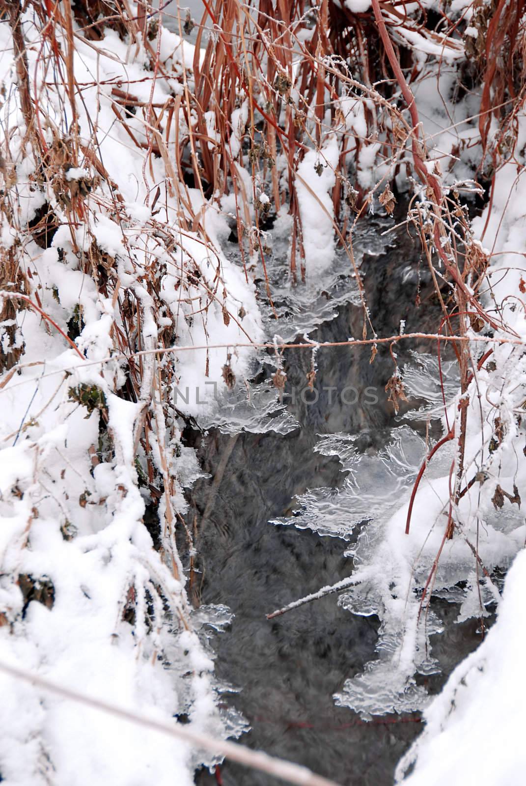 winter stream flowing through snow and ice